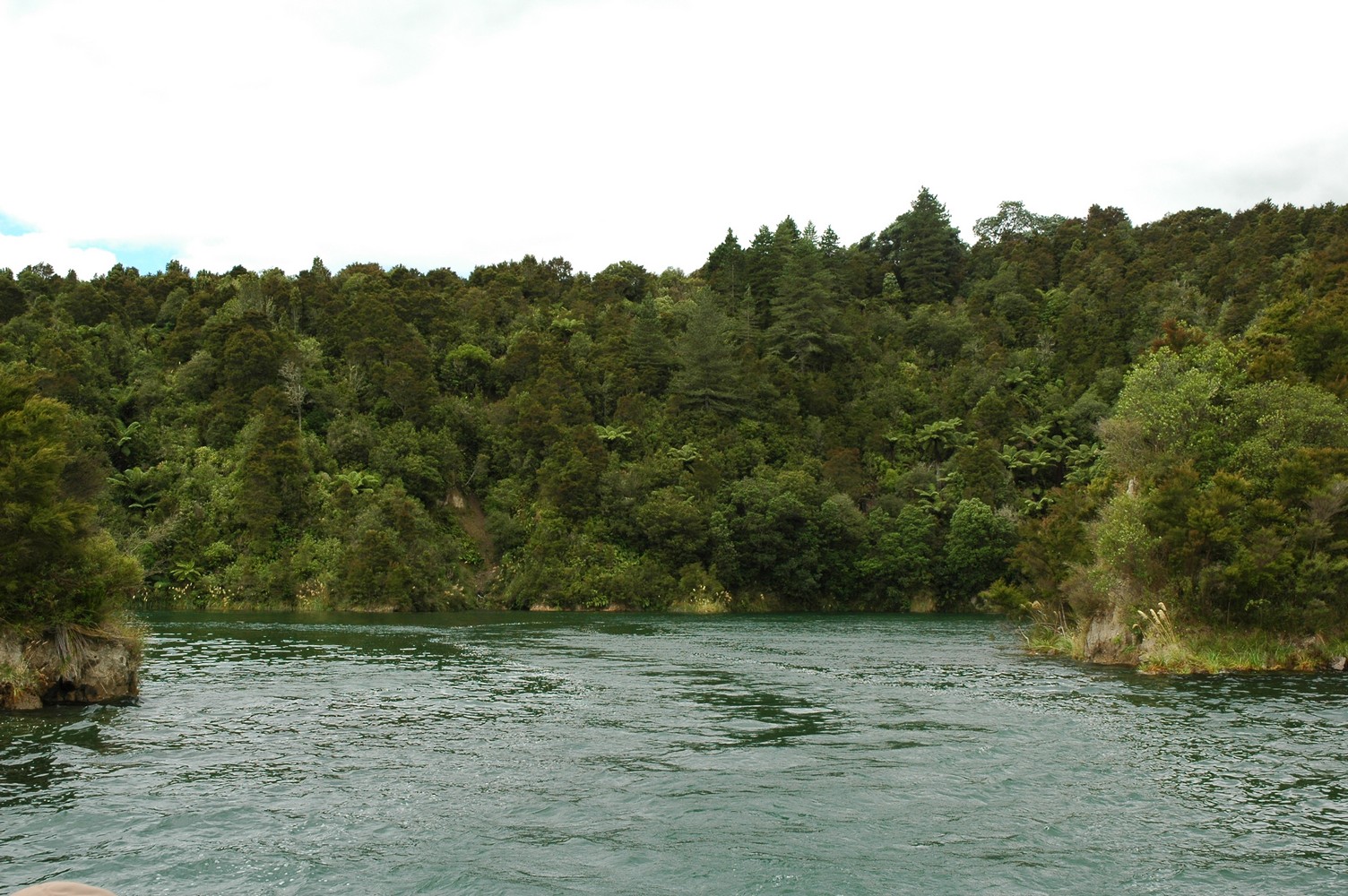 355   03 02   Rotorua + omgeving